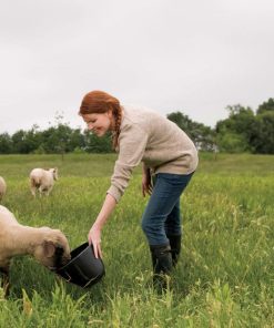 Küçükbaş Hayvan Yetiştiriciliği